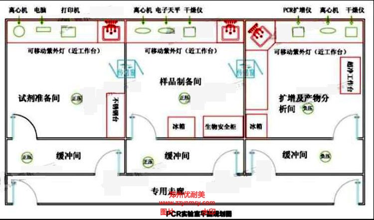 PCR實驗室設計規劃圖