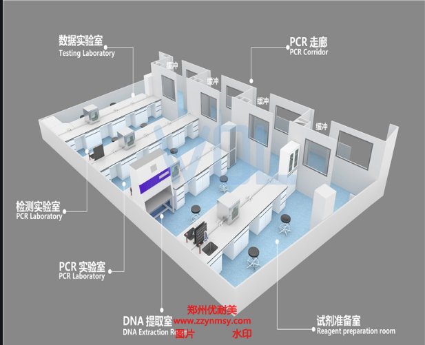 PCR實驗室建設規劃