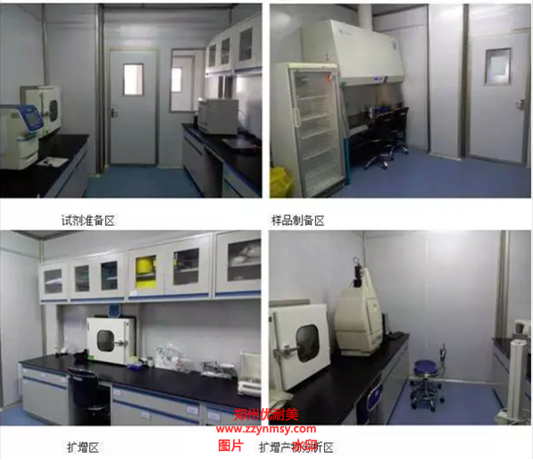PCR實驗室建設